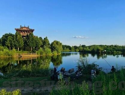 足球美国vs墨西哥比分-美墨对决，一场跌宕起伏的足球盛宴，比分背后的故事与启示
